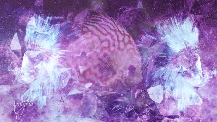 Fish dream dictionary