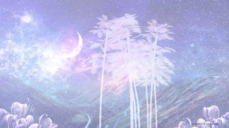 Isolated bamboo plants