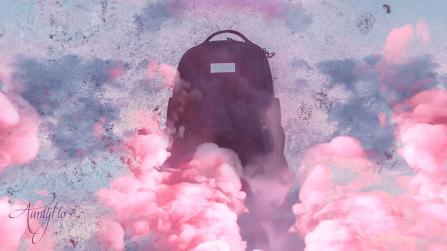 Missing Purse dream meaning