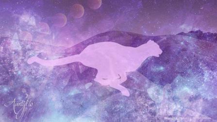 Dreams About Being Hunted