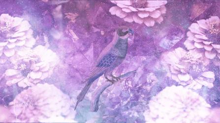 Parrot dream meaning