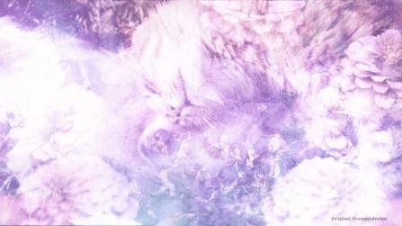 Pets