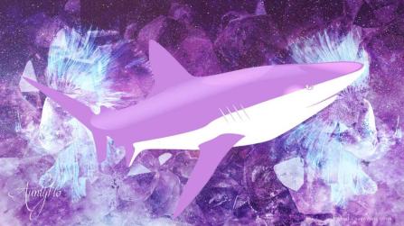 Shark dream meaning
