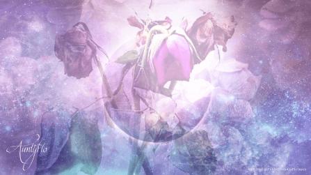 Unfortunate Dream Meaning