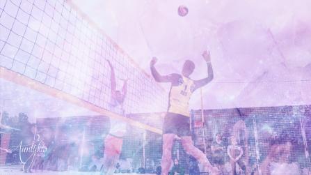 Volleyball (Volley Ball)