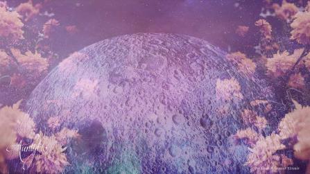 Exhibition Dream Meaning