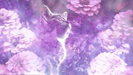 Ginger Kitten Dream Meaning