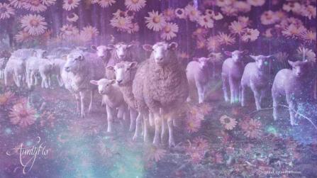 sheep dream meaning