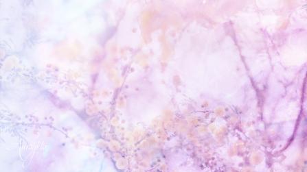 Acacia meaning spiritual