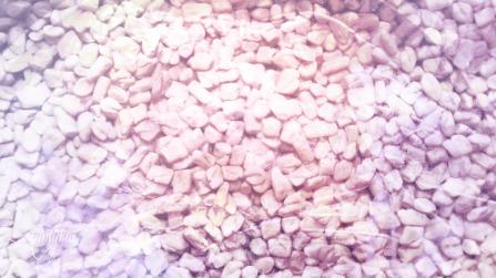 Fenugreek seed