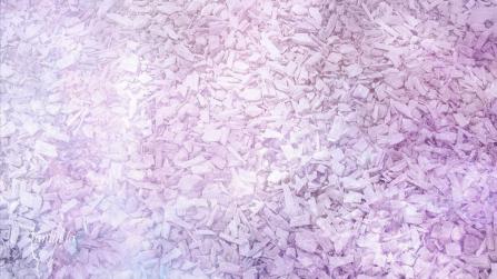 Life Everlasting, yellow