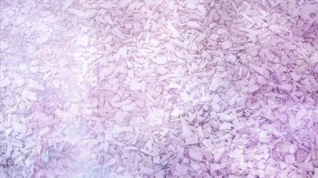 Ten Bark (Cinchona) Chips