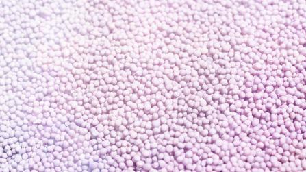 White Mustard Seeds