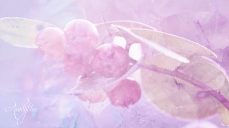 Wintergreen Uncover Hidden Herb Meanings