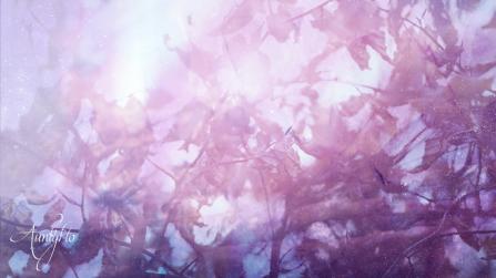 Uncover hidden occult meanings