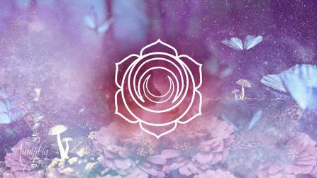 Sacral Chakra