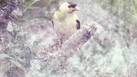 Brown meaning of colour