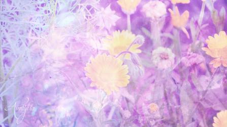 Flower Superstitions