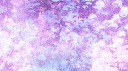 Jellyfish supersition invertebrates