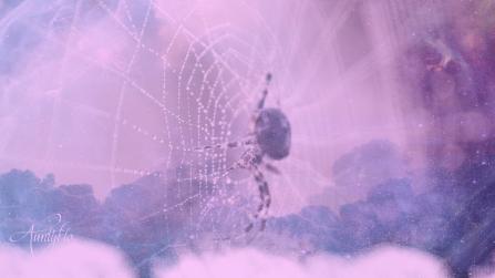 What is the spiritual meaning of spiders in your house?