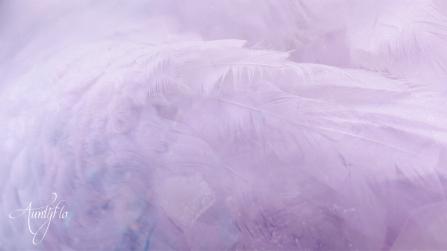 White Feather Spiritual Meaning