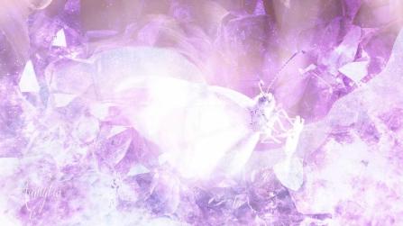 White Butterfly Picture On Grass