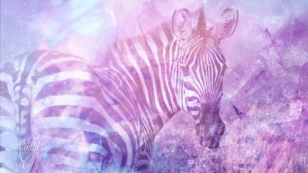 Zebra means Superstition dictionary