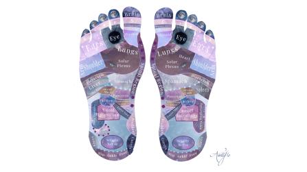 Foot Reflexology Chart