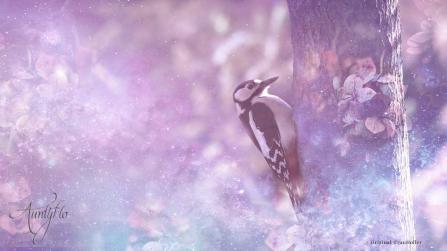 Woodpecker Animal Totem