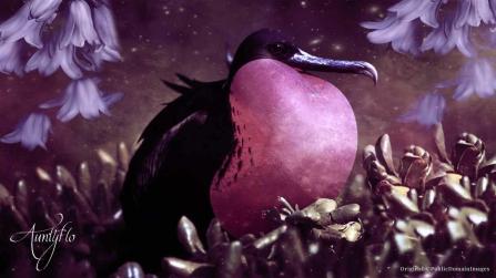 Frigate Bird Animal Totem