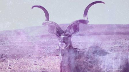 Kudu / Nyala / Eland Symbolism