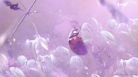 Ladybug Animal Totem