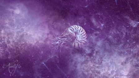 Nautilus shell