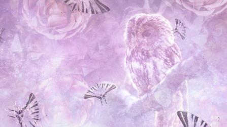 Owl spiritual meaning