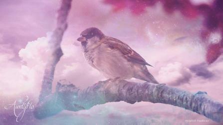 Sparrow spiritual meaning