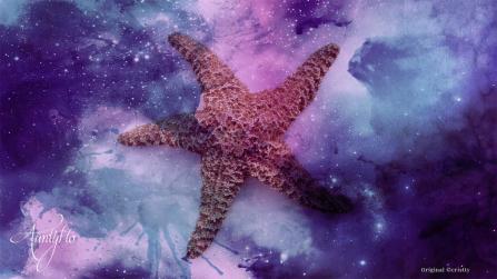 Star Fish