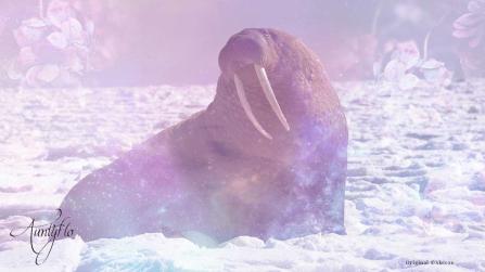 Walrus meaning animal totem