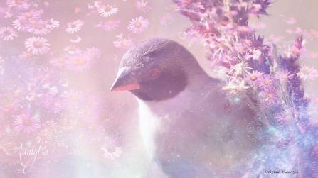 Waxbill Animal Totem