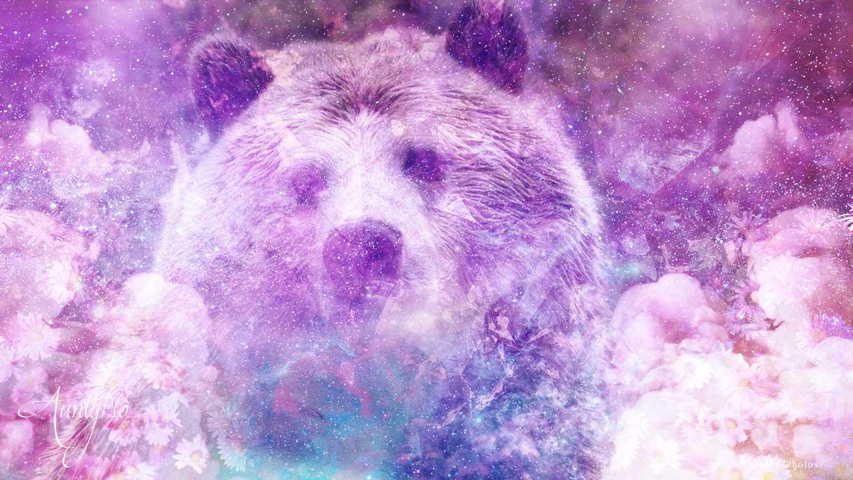 Animal Spirit Guide: The Bear (Shamanic Power Animal). Bear Symbolism 