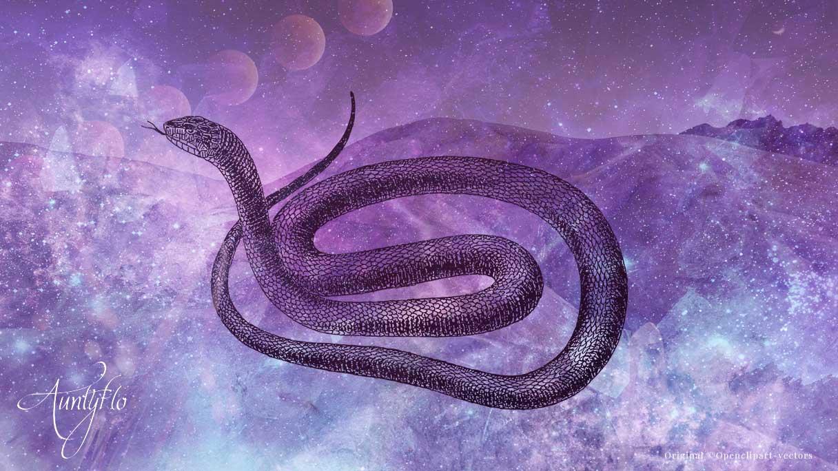 Dream of Black Snake (9 Reasons + Meaning) - Practical Psychology