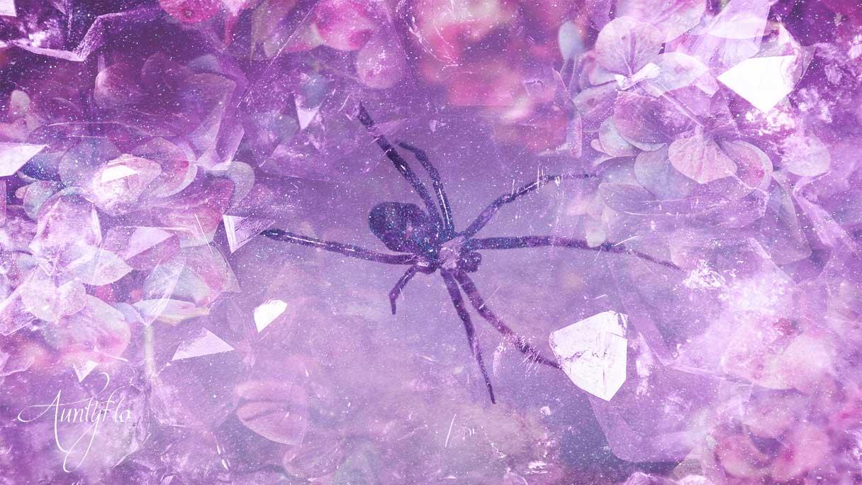 Spider Animal Totem Spiritual Meaning And Interpretation 