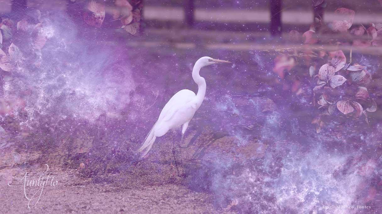 meaning of cranes in the sky meaning of cranes in the sky
