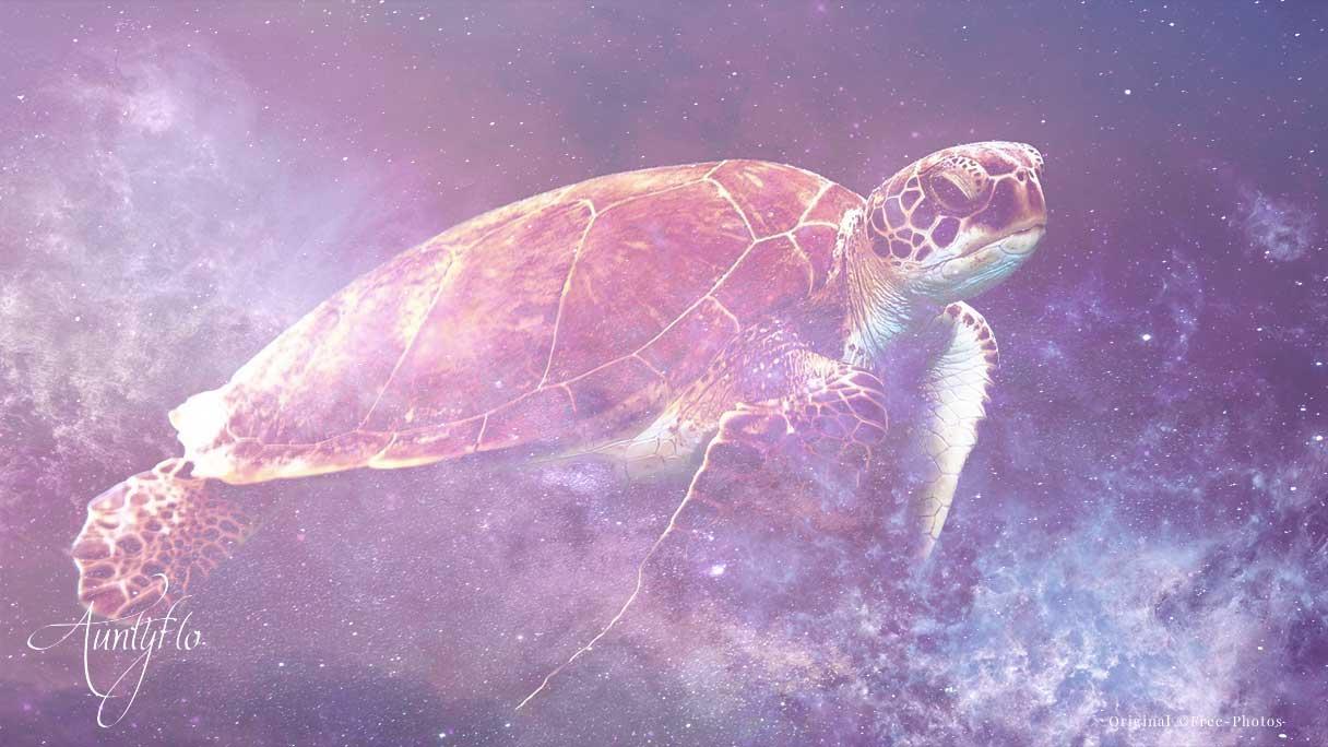 Turtle Spiritual Meaning And Interpretation 