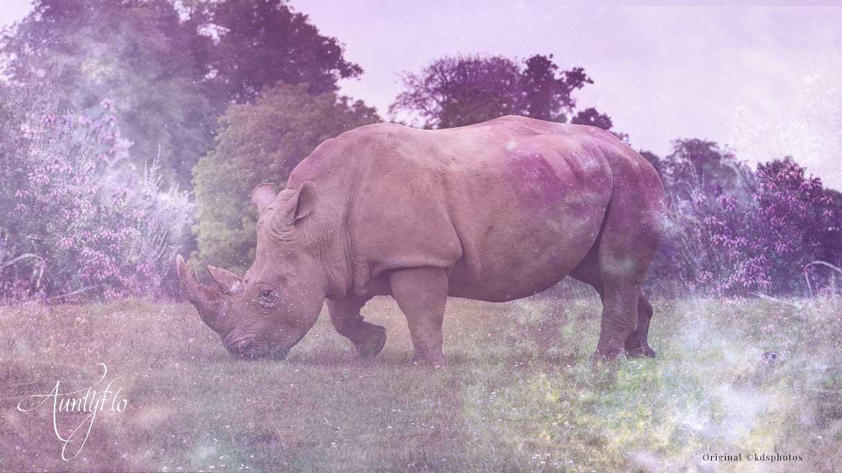 Rhinoceros Symbolism - Spirit Animal, Animal Totem And Meaning 