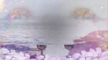 tarot