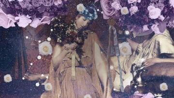 The page of wands tarot card