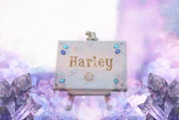 Harley meaning