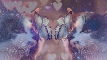 Multiple Cats In Dreams