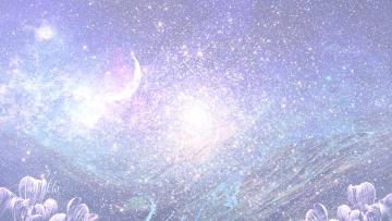 fairy dream