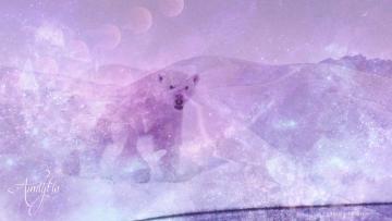 gold bear